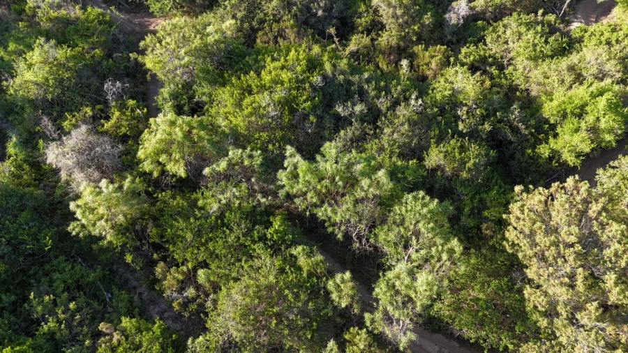 Commercial Property for Sale in Langvlei Dunes Western Cape